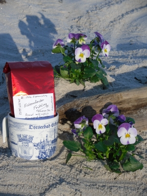 Eckernfoerder Fruehling_Ostseebad Eckernfoerde